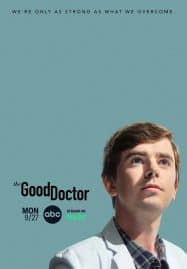ดูซีรี่ย์ออนไลน์ฟรี The Good Doctor Season 5 (2021) แพทย์อัจฉริยะ คุณหมอฟ้าประทาน