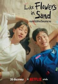 ดูหนังออนไลน์ฟรี Like Flowers in Sand (2023) ดอกไม้สังเวียนทราย